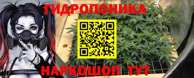 спиды Боровичи