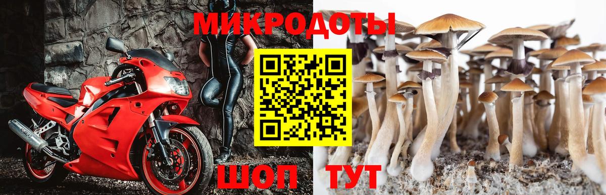Псилоцибиновые грибы Magic Shrooms Белорецк