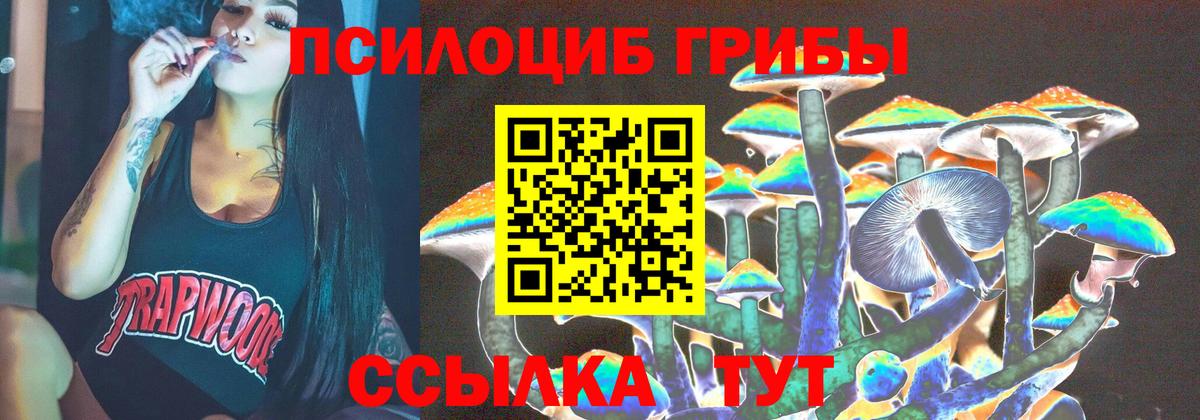 Галлюциногенные грибы Cubensis  Вход с VPN  Белорецк 